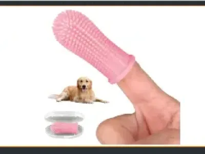 알리바바 이럴꺼냐